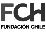 Fundacion Chile
